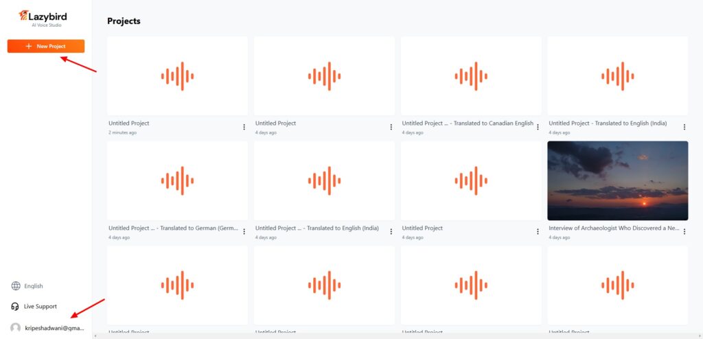 Lazybird-user-interface-1024x494-1 Lazybird-user-interface-1024x494-1